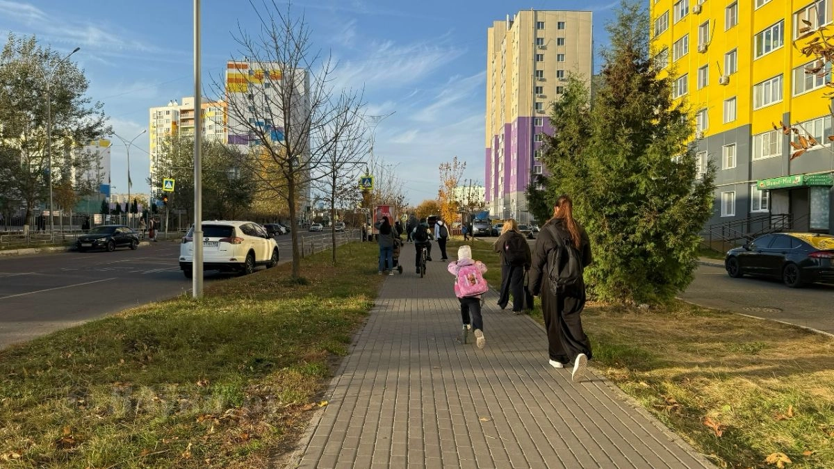 До +13 градусов потеплеет в Великих Луках 22 октября
