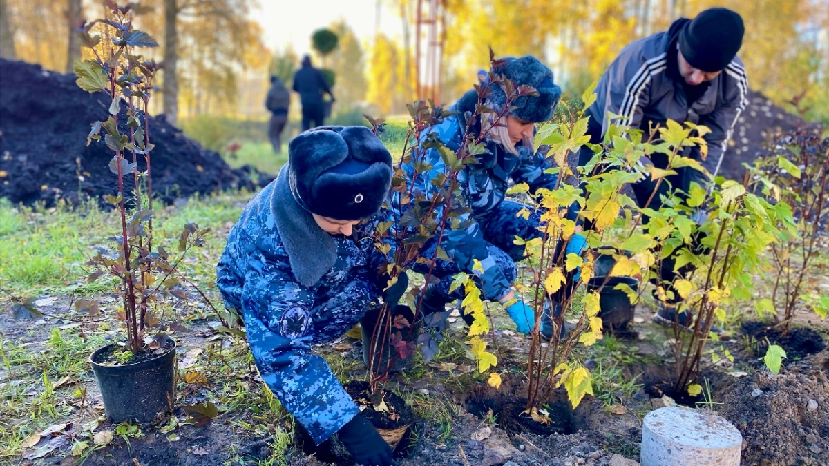 Под Великими Луками благоустроили берег пруда и высадили новые растения