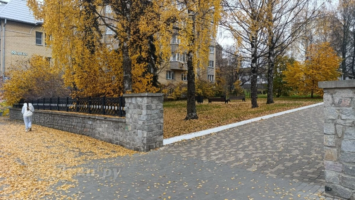 В Великих Луках 23 октября ожидаются облачная погода и кратковременные дожди