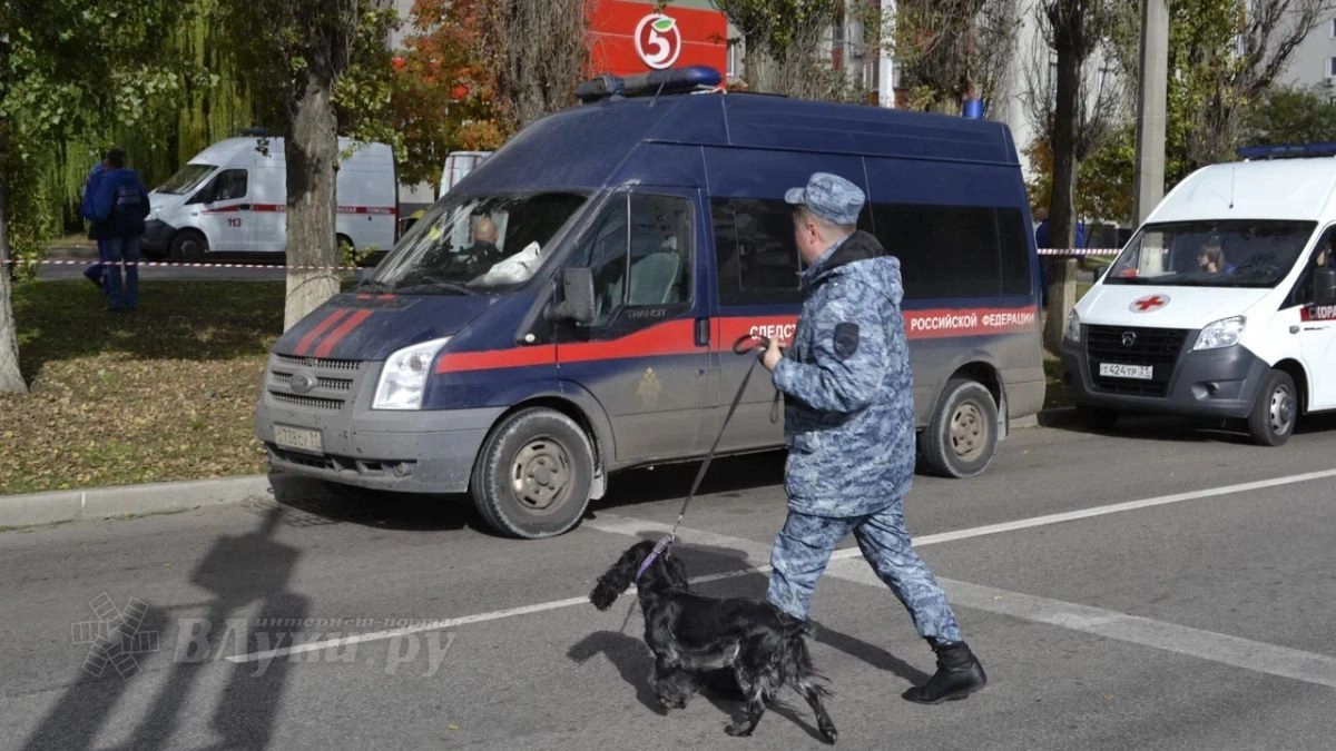 Двух жителей Великих Лук подозревают в сокрытии информации о подготовке диверсии