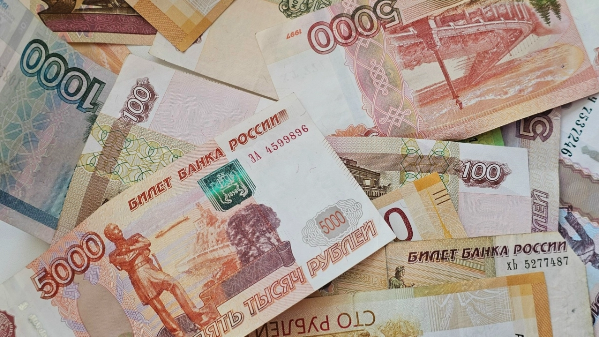 Курьер мошенников из Великих Лук задержан в Подмосковье