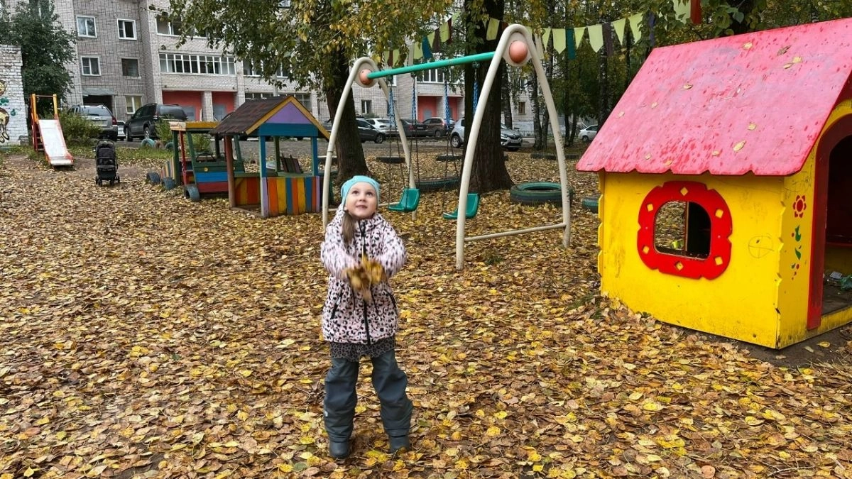 В Великих Луках рассказали, куда обращаться из-за неубранных листьев во дворе
