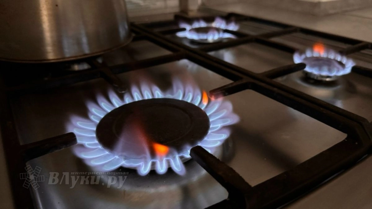 Долги крупных потребителей газа в Псковской области превысили 1 млрд рублей