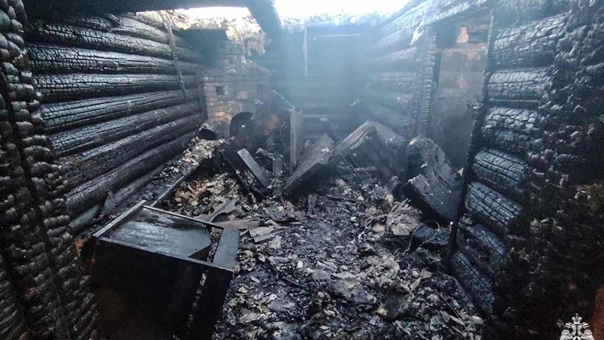 Деревянная постройка сгорела под Великими Луками: назвали причину пожара