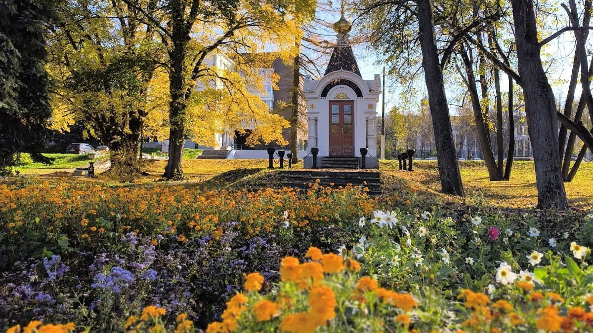 «Без цветов город выглядит скучно»: жители Великих Лук показали уличные клумбы