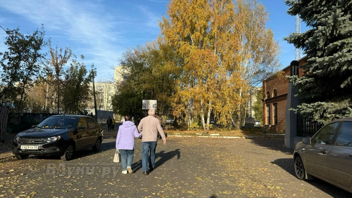 Небольшие дожди и потепление: какая погода ожидается в Великих Луках 31 октября